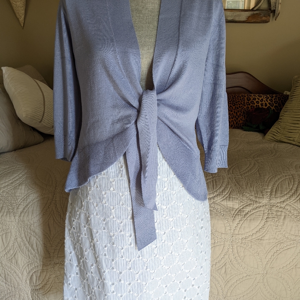 Banana Republic blue and white eyelid pencil skirt